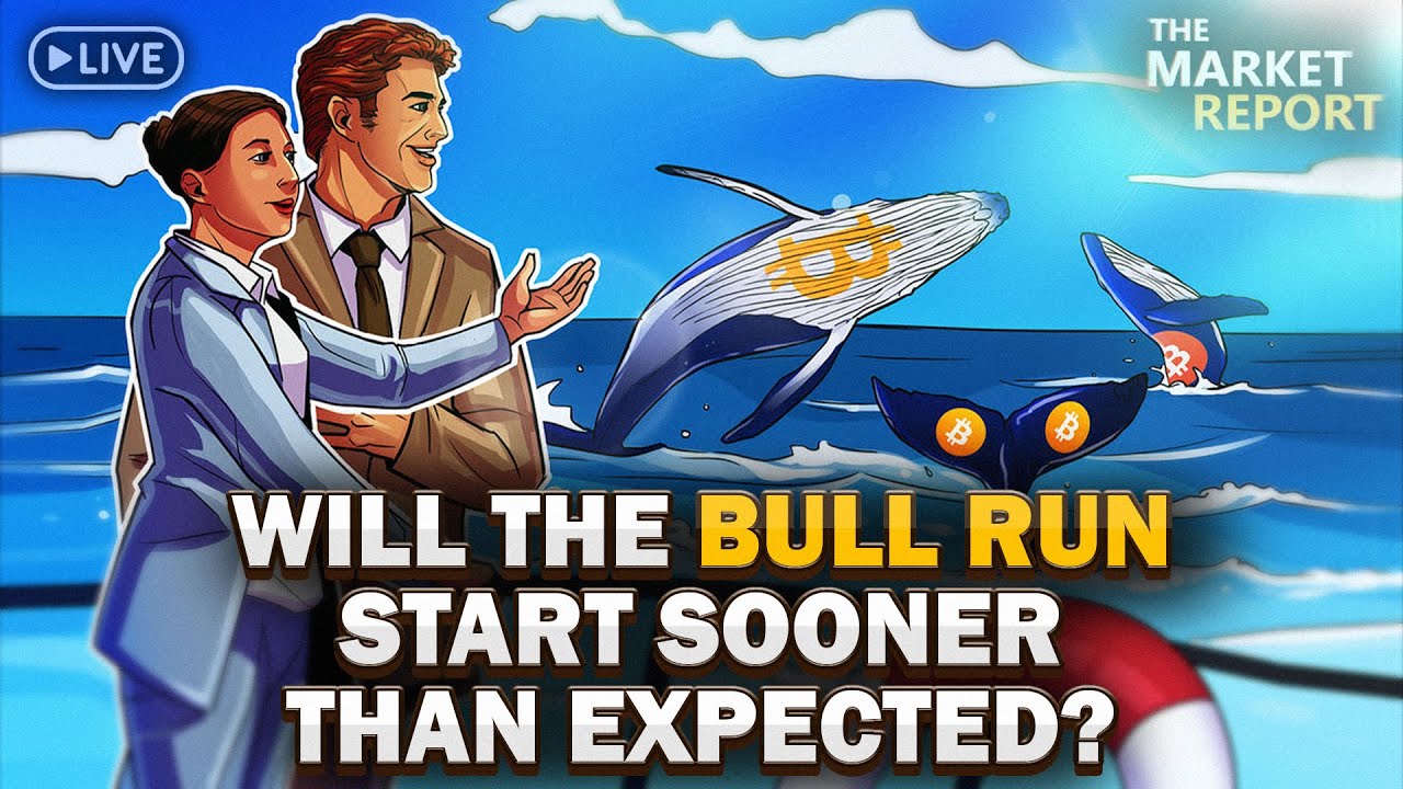 Why are Bitcoin whales accumulating BTC?
