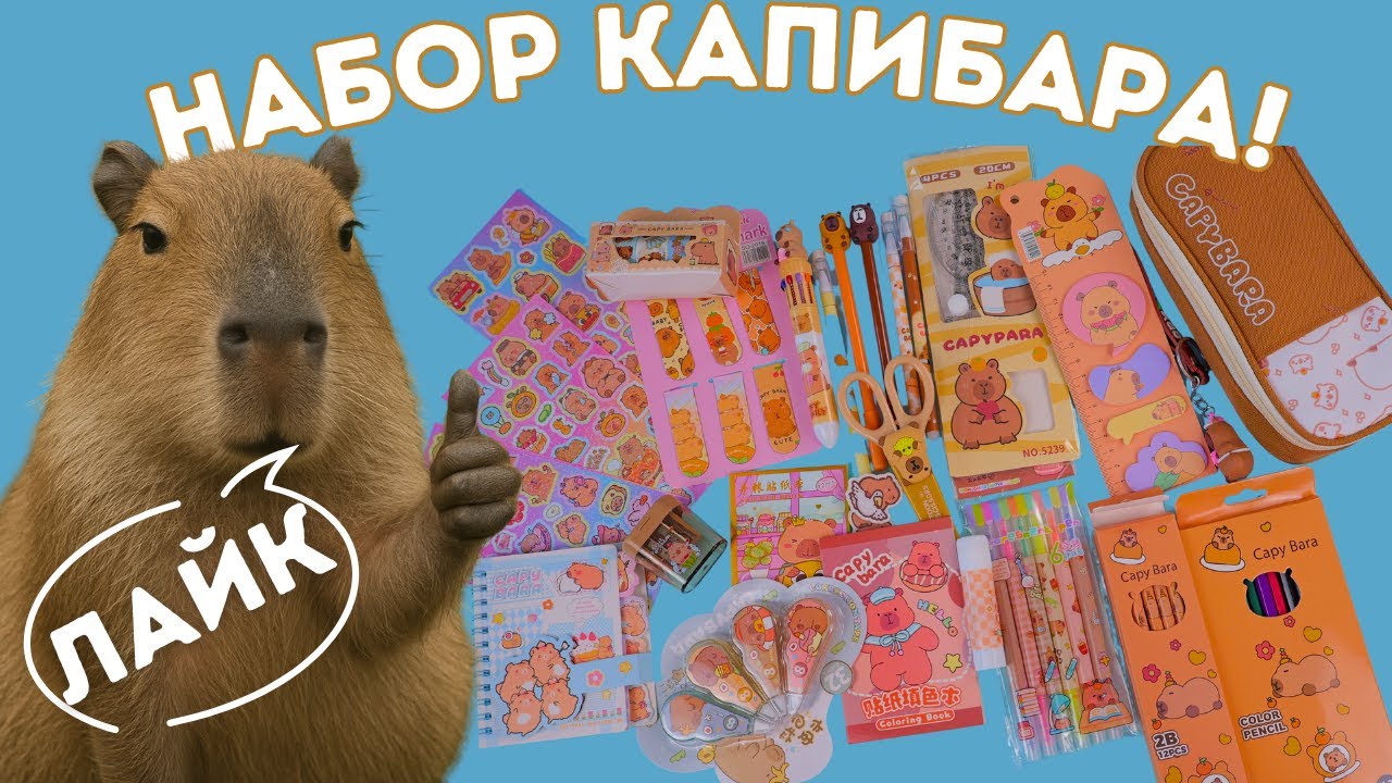 Школьный набор КАПИБАРЫ: что внутри? 😍 💕