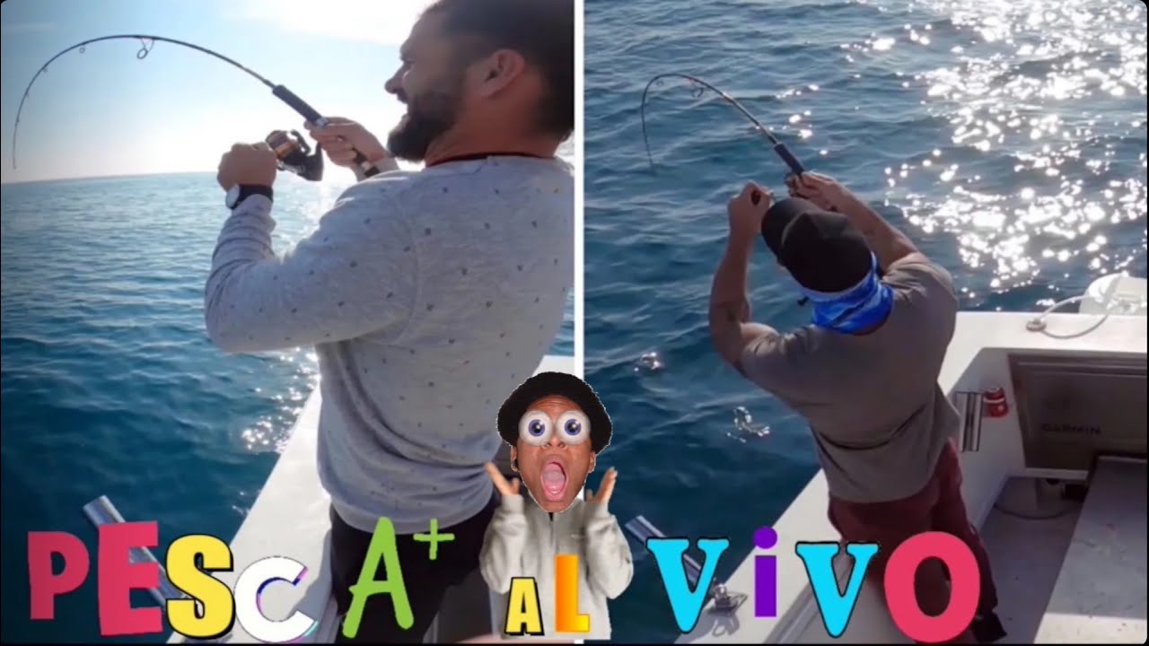 𝙋𝙀𝙎𝘾𝘼 𝘼𝙇 𝙑𝙄𝙑𝙊 - 𝔻𝔼ℕ𝕋𝕆ℕ𝔼𝕊 (𝘿𝙚𝙣𝙩𝙚𝙭) 🐟