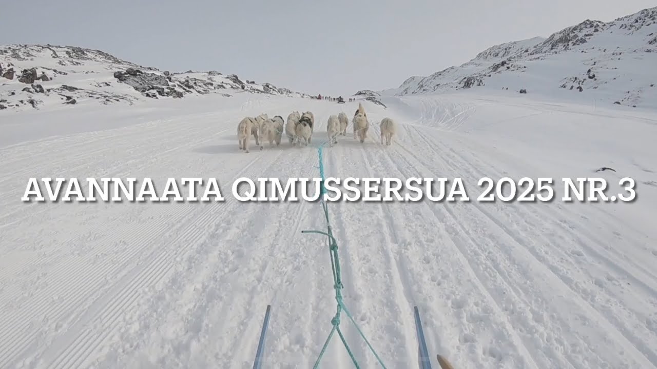 Avannaata qimussersui 2025 Nr.3