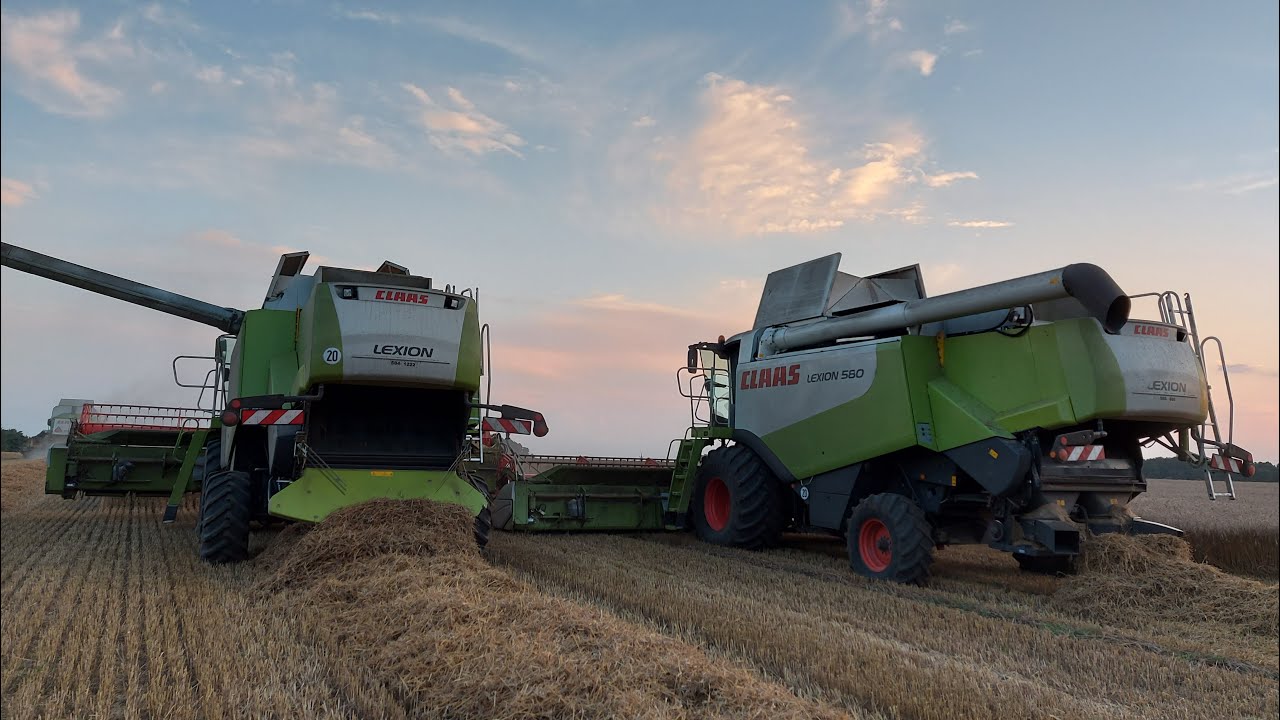Żniwa Na Dużą Skale 2020☆ Koszenie owsa z Class'ą || 3x Class & John Deere & Man || ELSNER & AmiAgro