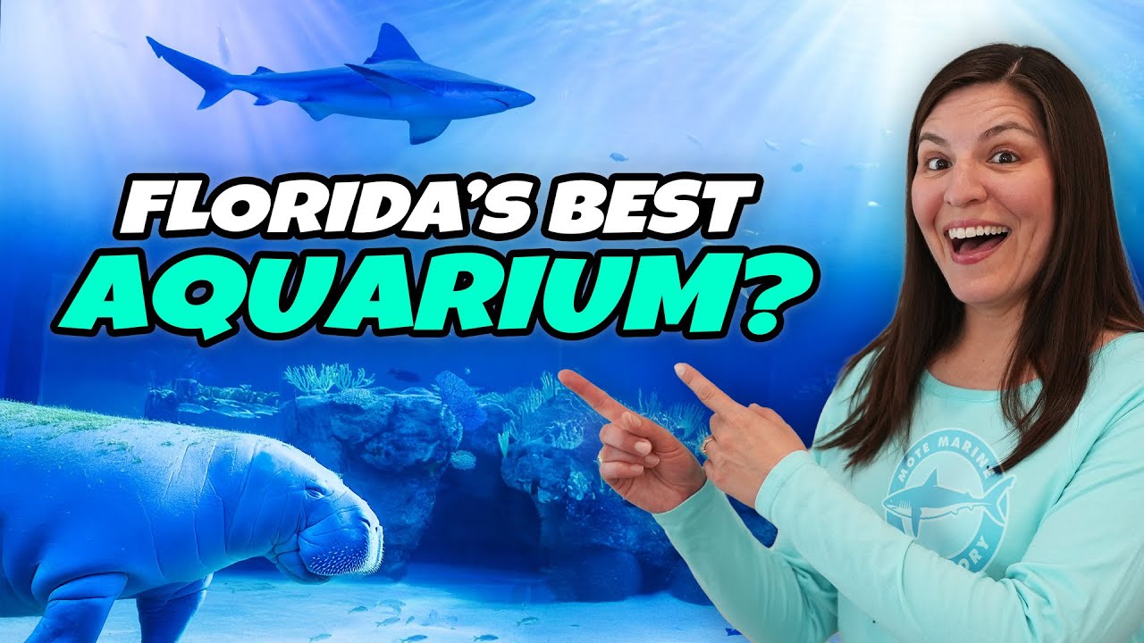 Mote SEA Aquarium FULL TOUR & Review | Best Things to Do | Sarasota, Florida