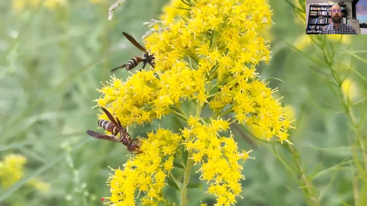 Seasonal Explorations of Native Plants in the Piedmont: Fall Session