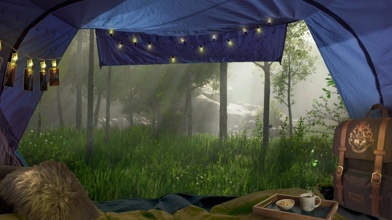 Cozy tent camping at spring forest 🌳| forest birds and stream sounds |Alluring Ambience