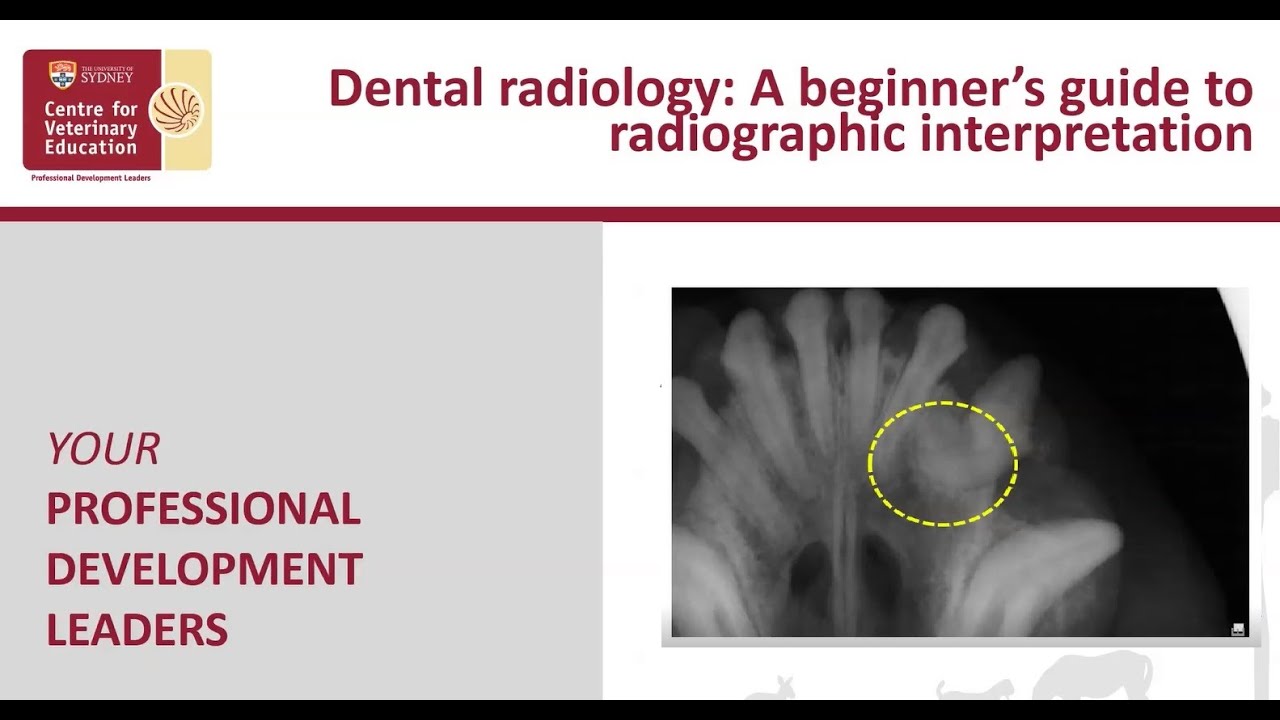 Veterinary Dental Radiology,  A beginner's guide to radiographic interpretation