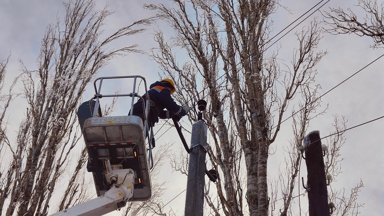 Бліцрепортаж 26.01.2024 р.