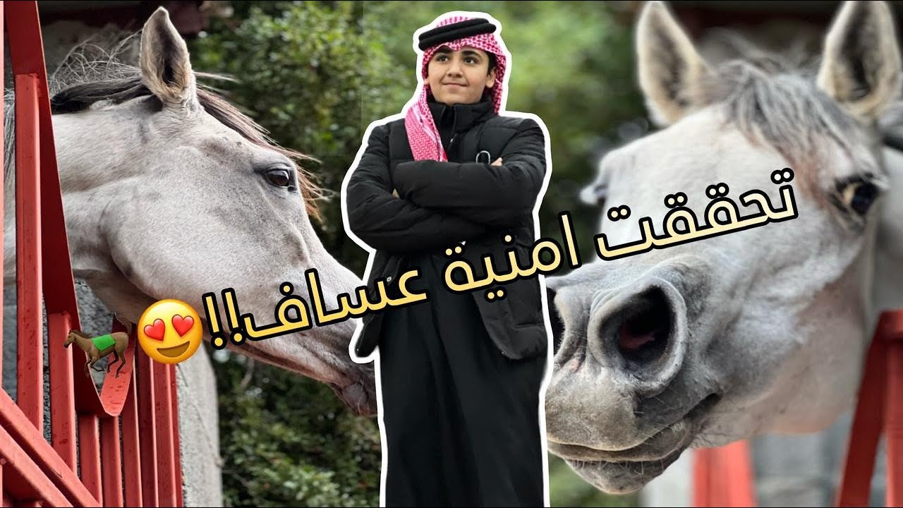 خيل عربي اصيل مفأجاة عساف😍🐎