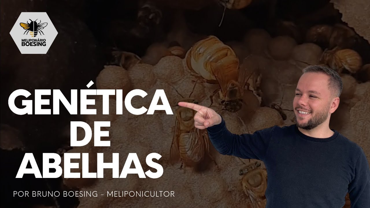 Gen&eacute;tica de Abelhas: Cruzamentos e CONSANGUINIDADE!