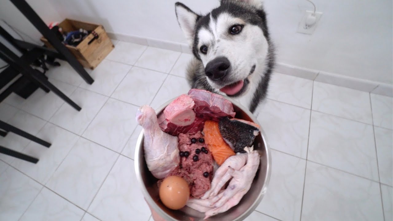 What Feeding Raw Breakfast to My Puppy Looks Like!