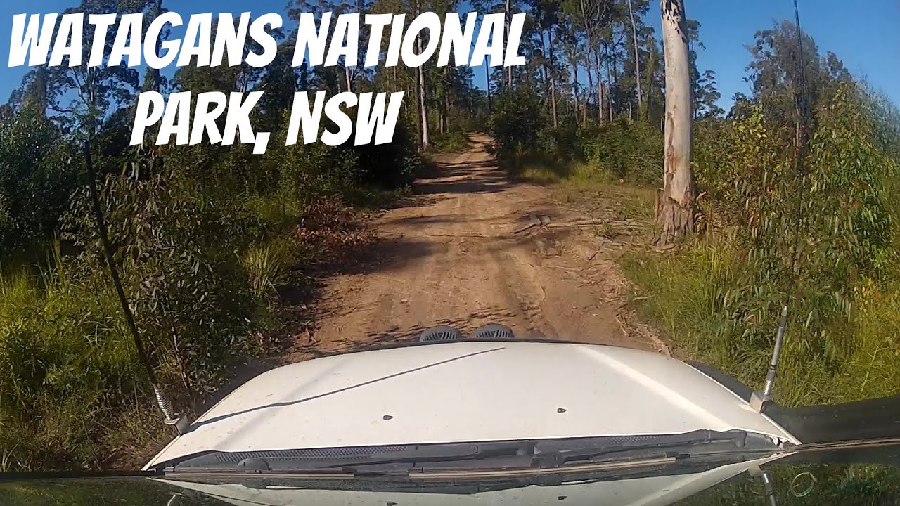 Watagans national park, NSW