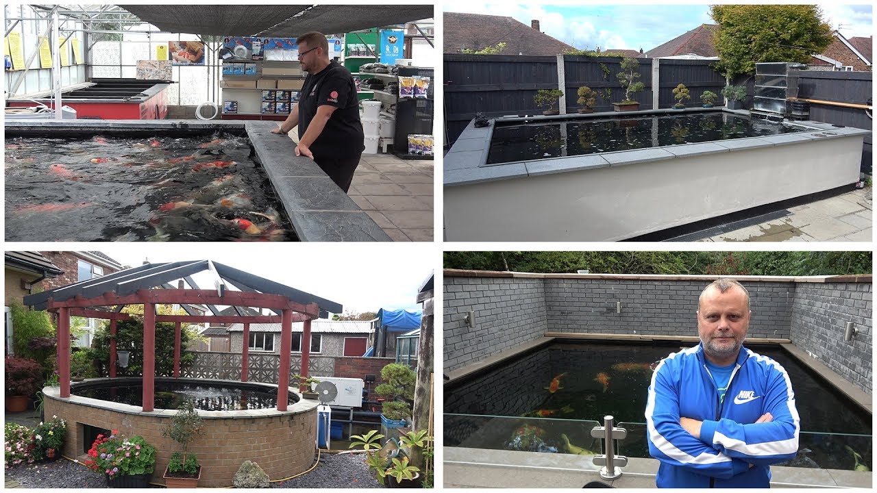 Visit to Quality Nishikigoi and customer ponds - 7th September 2018