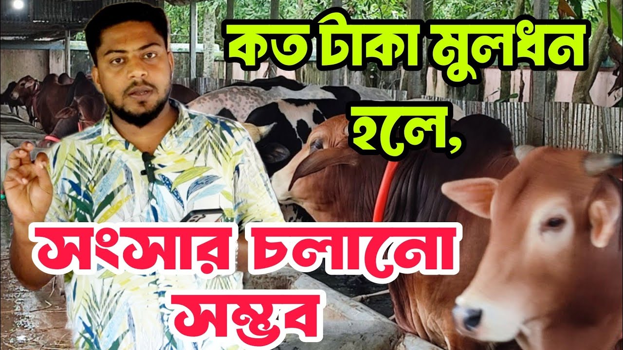 কয়টা গরু থাকলে একটি সংসার চালানো সম্ভব ও গরু প্রতি খরচ কত❓🤔