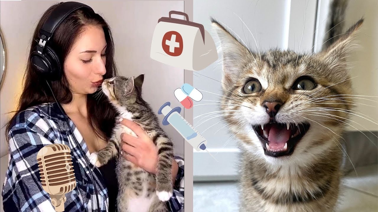 Song aufnehmen & Tierarzt mit Baby Katzen 😿💉 I Jamie Roseanne Vlog