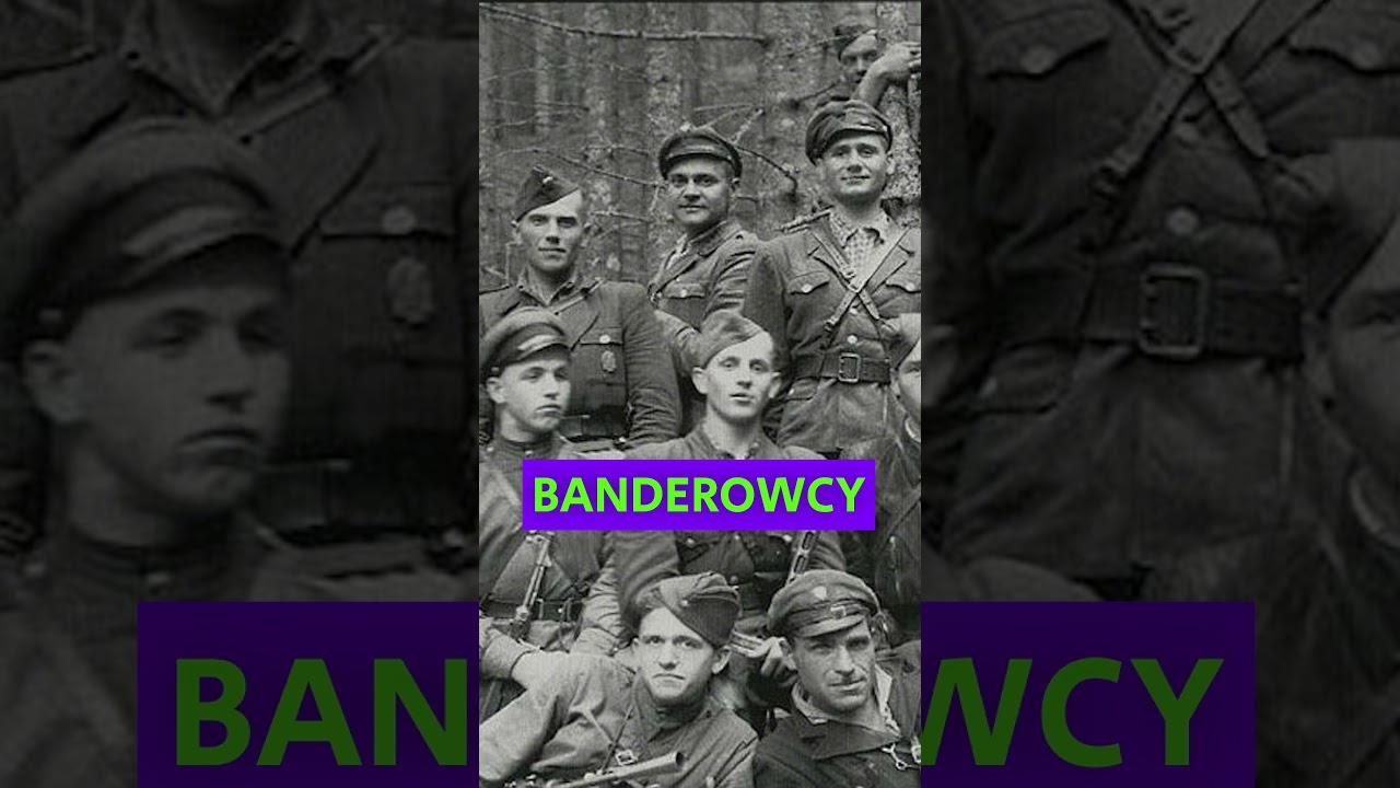 Banderowcy zabili więcej Ukraińc&oacute;w niż Niemc&oacute;w i Sowiet&oacute;w!