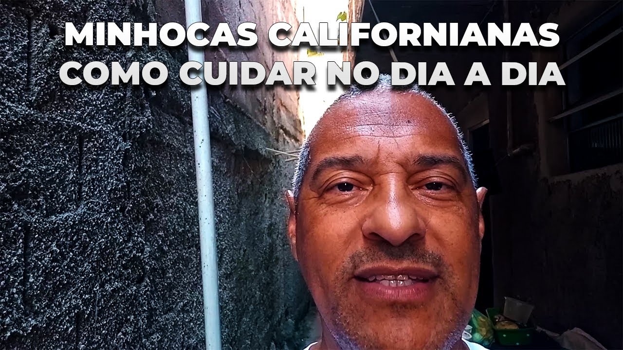 Minhocas californianas como cuidar no dia a dia