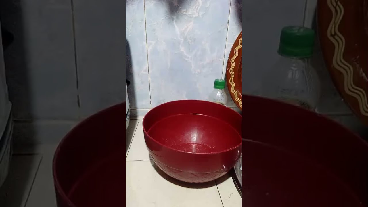 اجيو توجدو معايا حرشة