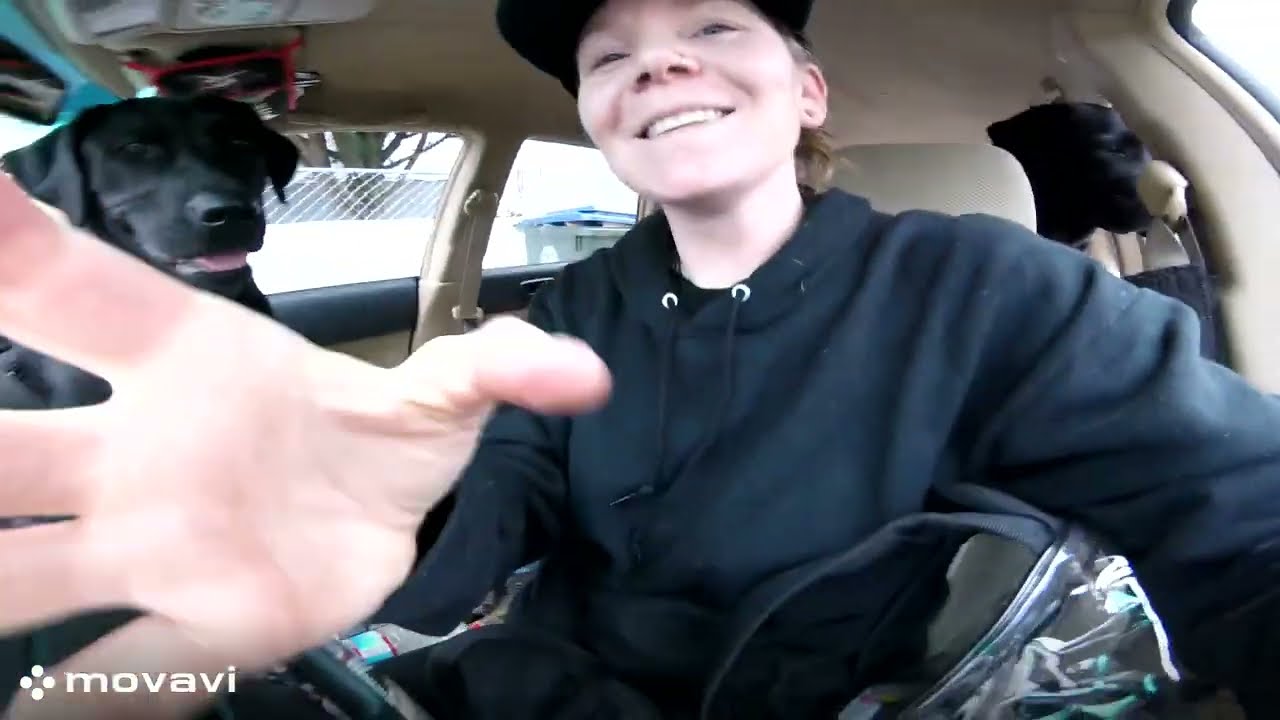 MONTAGE 2 | #GoPro #Montage #Dogs #SavageHealing #Petsitter #PetNanny #Animalcare