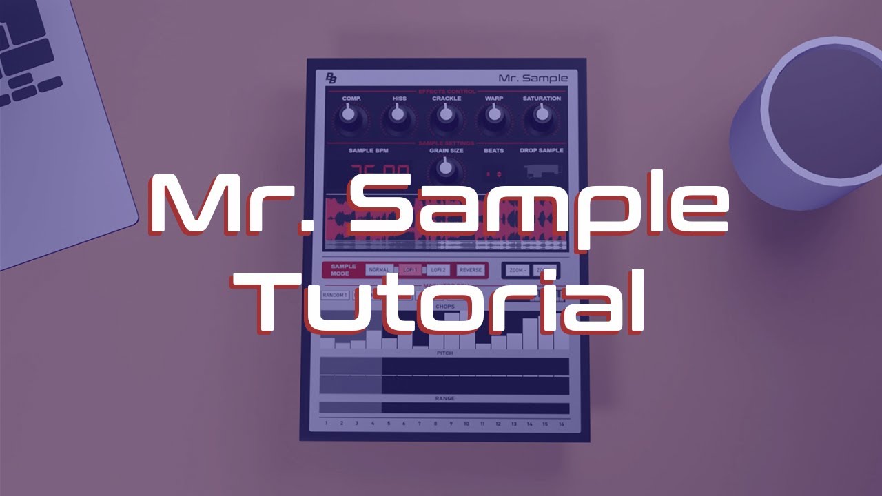 Mr. Sample Tutorial | Updated Guide