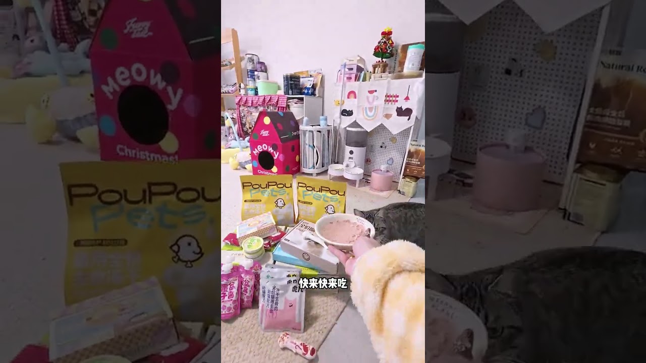 A 24-year-old full-time self-media creator s cat-keeping vlog Wishing everyone a happy New