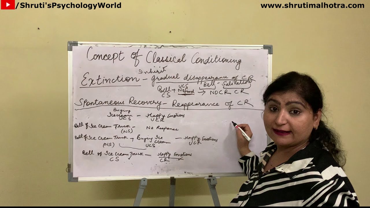 Classical Conditioning Concepts - Extinction and Spontaneous Recovery