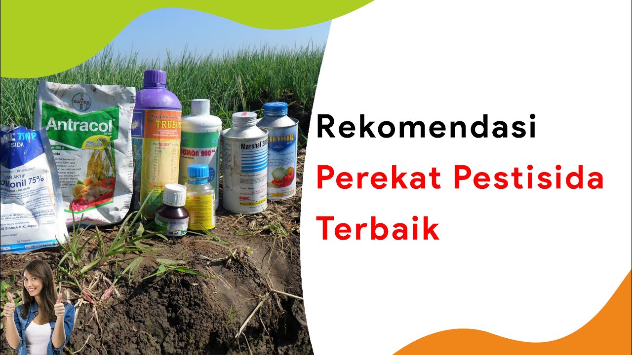 5 Merek Perekat, Perata, Penembus Terbaik ! Harga 20-100 Ribuan