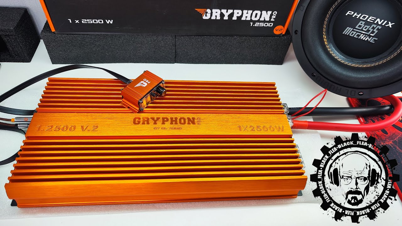 Мощный Моноблок Gryphon Pro 1.2500 V.2 от DL Audio