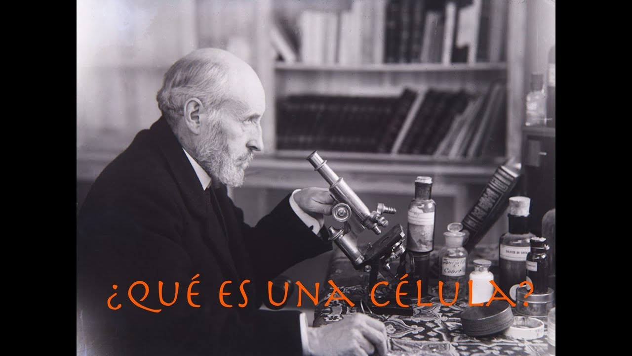 ¿Qué es una célula? 😳🤢🙅🏼
