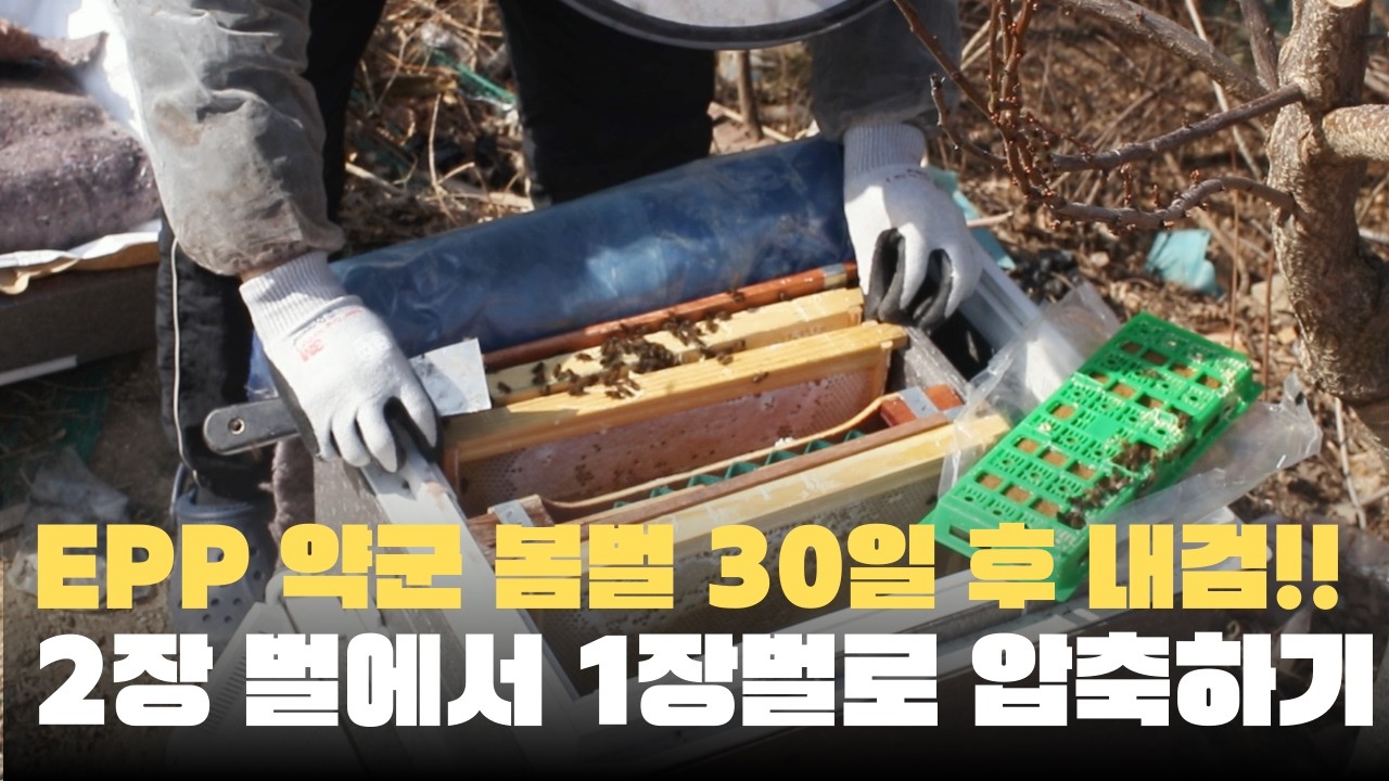 포기하지 않았던 토종벌 EPP약군… 30일 후 내검결과 공개