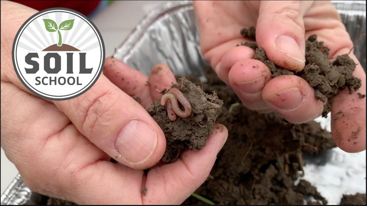 Soil School: Evaluating soil health tests