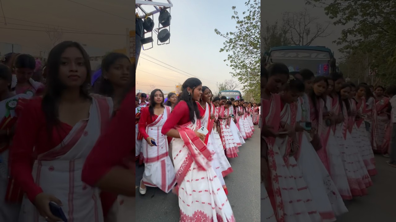 Boreya group 🙏#trending #aadivasi #sarhul #dance #nagpuri #traditional #culture #shortvideo #trend