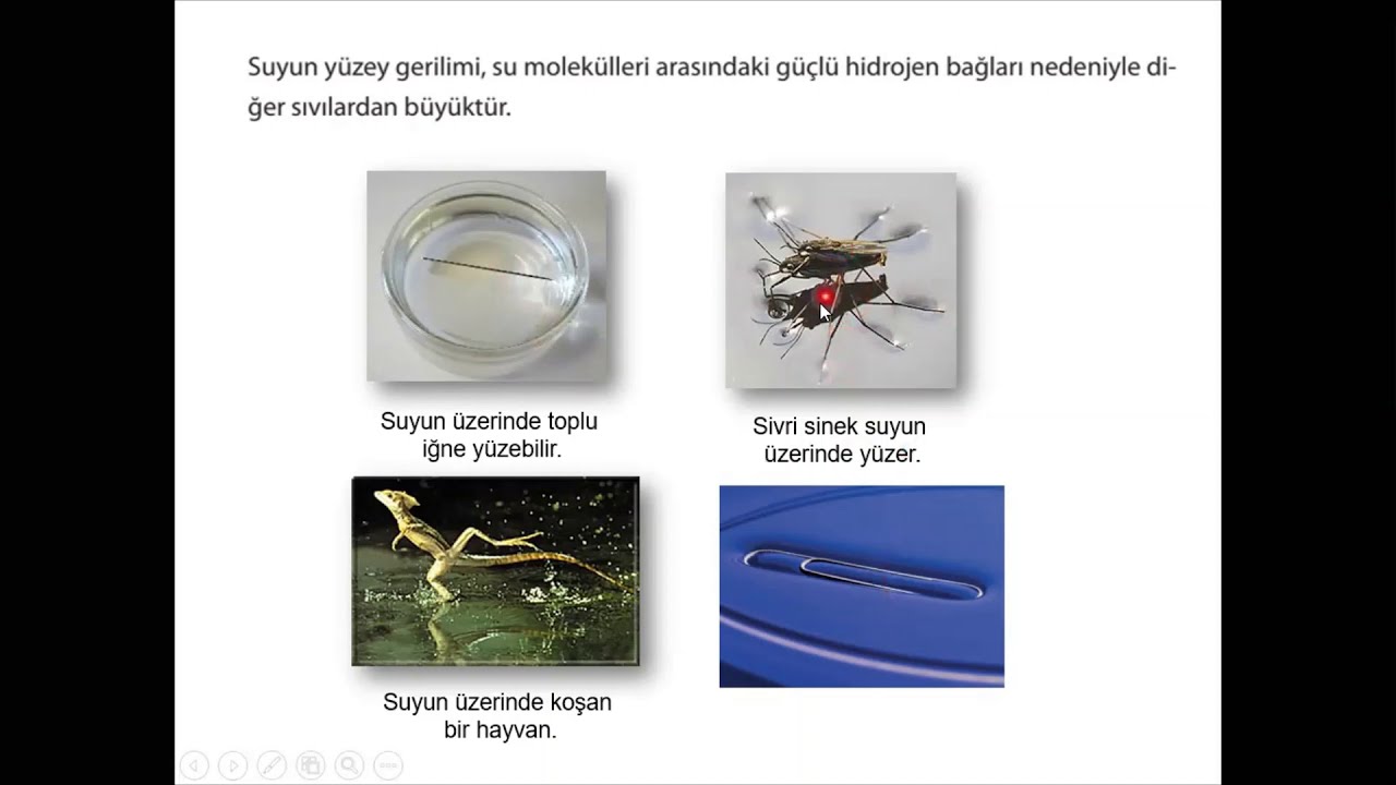 Adhezyon-kohezyon-kılcallık