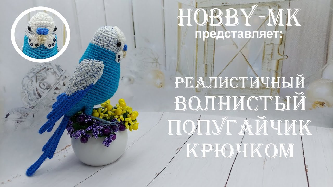 Волнистый попугай Кеша крючком ч1 (авторский МК Светланы Кононенко)
