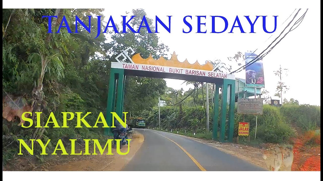 Tanjakan 'Mayit' Sedayu || Taman Nasional Bukit Barisan Lintas Barat Sumatera