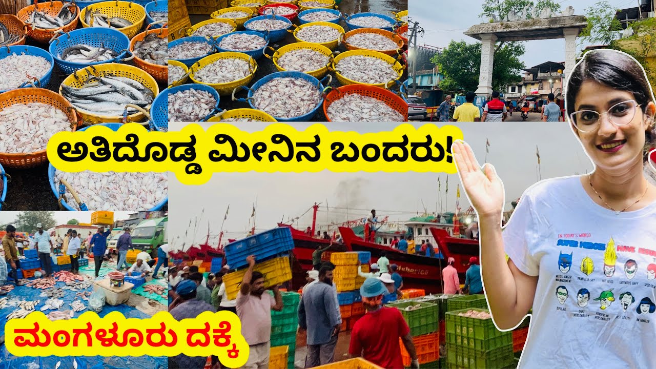 ದಕ್ಕೆನಲ್ಲಿ ಇಷ್ಟು ಮೀನು ನೋಡಿ ಬೆಚ್ಚಿಬಿದ್ದೆ!😱🐟ದಕ್ಕೆನಲ್ಲಿ ಜನ ಸಾಗರ, ಮೀನಿನ ಮಹಾಪೂರ! 🐟#kannadavlogs 