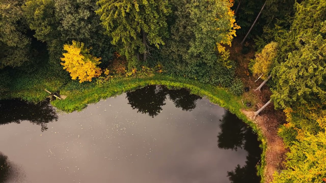 Autumn Vibes Bogusz&oacute;w - Gorce &ndash; Drone DJI mini 5 pro 