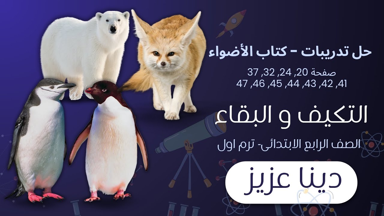 حل تدريبات كتاب الأضواء - التكيف والبقاء- المفهوم الأول- علوم الصف الرابع الابتدائي