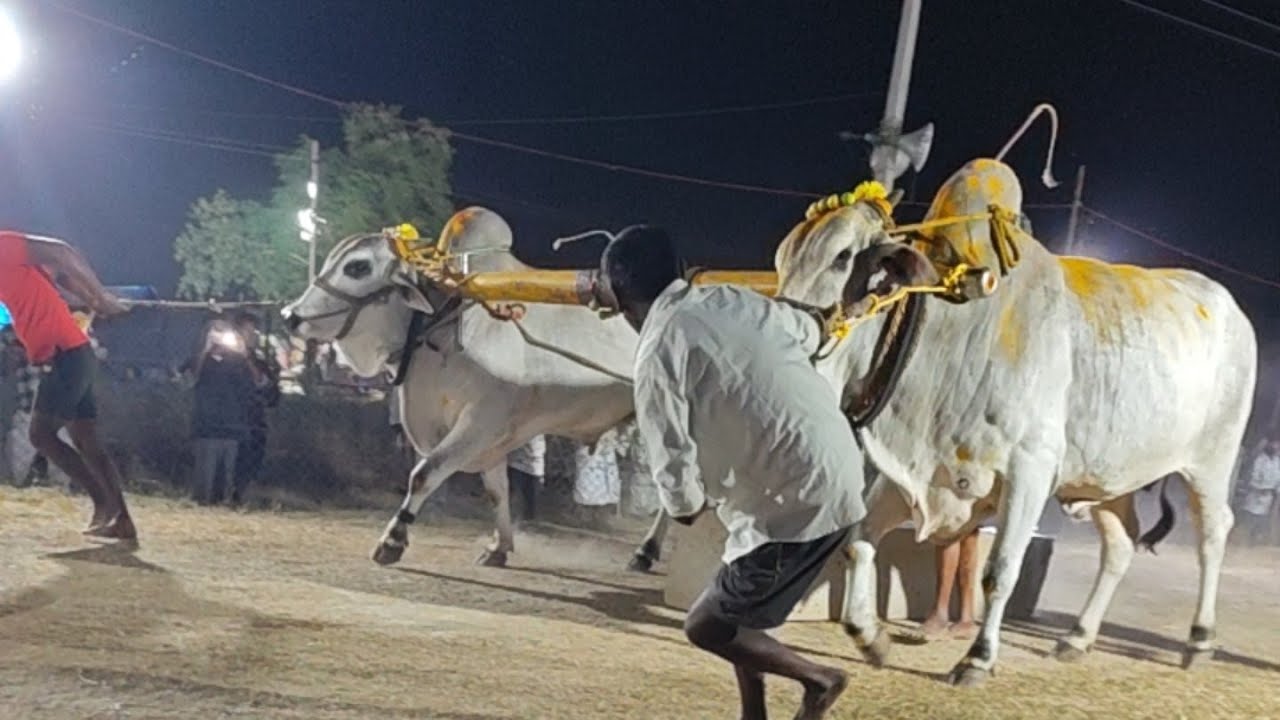 నక్కా శ్రీనివాసులు నక్కా వెంకటేశ్వర్లు న్యూ కేటగిరీ తిప్పాయపాలెం 2026