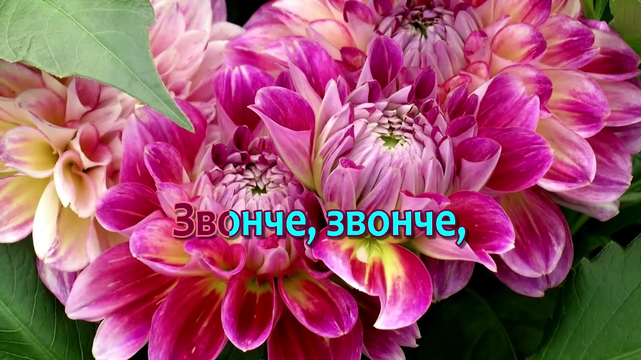 Я пою под гитару о том