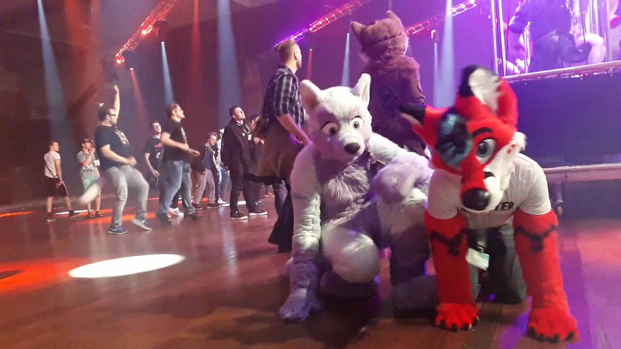 EF Fursuit Friendly Dance Near The End