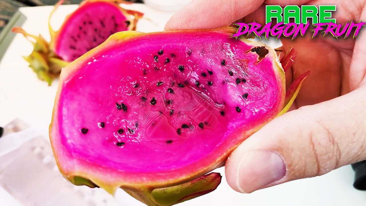 AX DRAGON FRUIT REVIEW / I Taste and Brix Score this AMAZING Dragon Fruit.