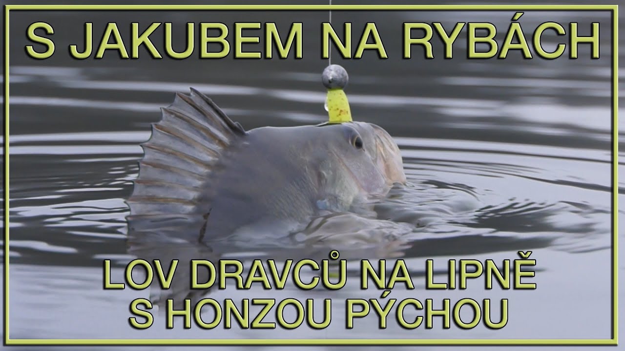 S Jakubem na rybách - Lov dravců na Lipně s Honzou Pýchou