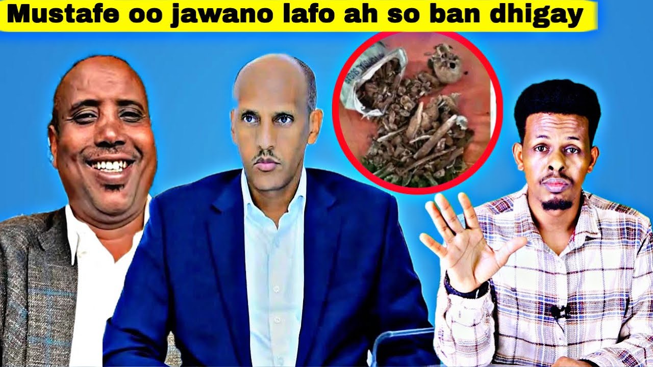 Maamulka Mustafe Cagjar oo jawaano lafo dad ah so bandhigay & Dagaalkii CMC iyo MMC oo sii adkaaday.