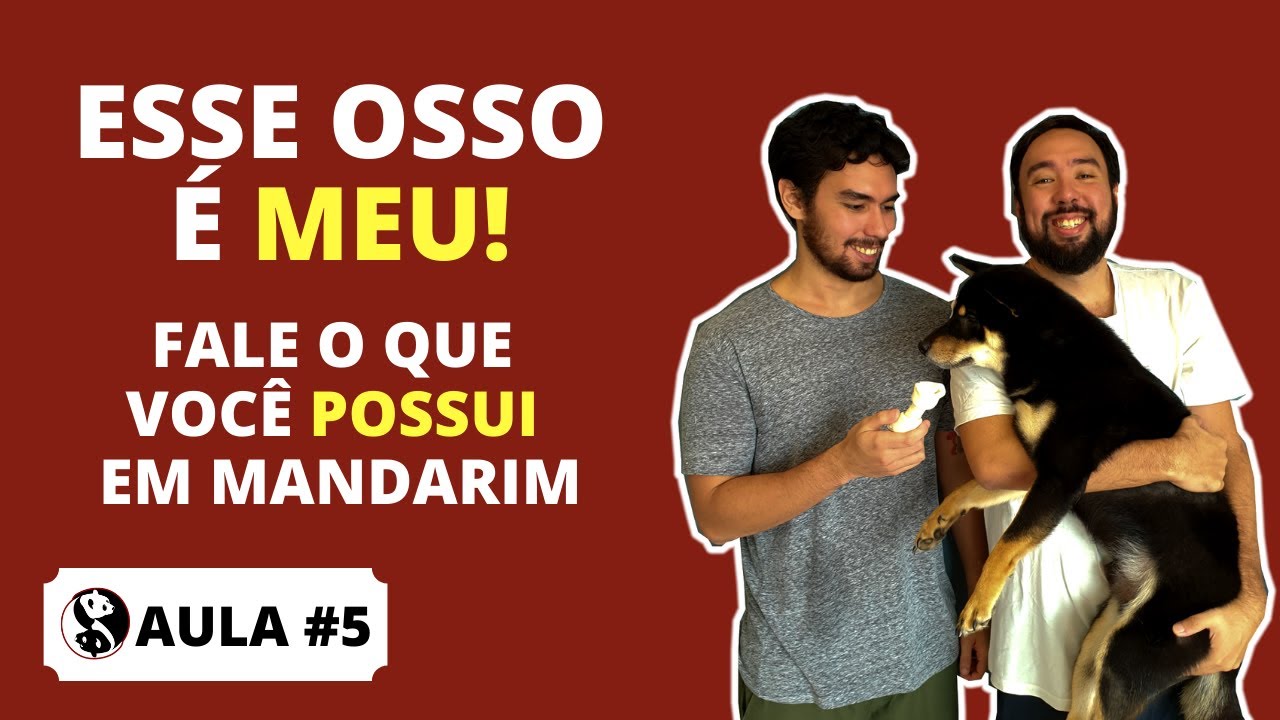 AULA 05: MEU, SEU, DELE(A) • 的 como partícula de POSSE • Irmãos Mandarim