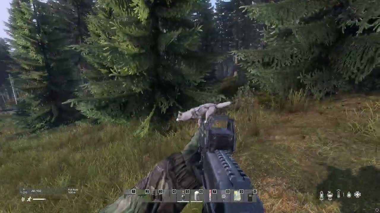 DayZ - Attacked by Wolves Outside Zelenogorsk