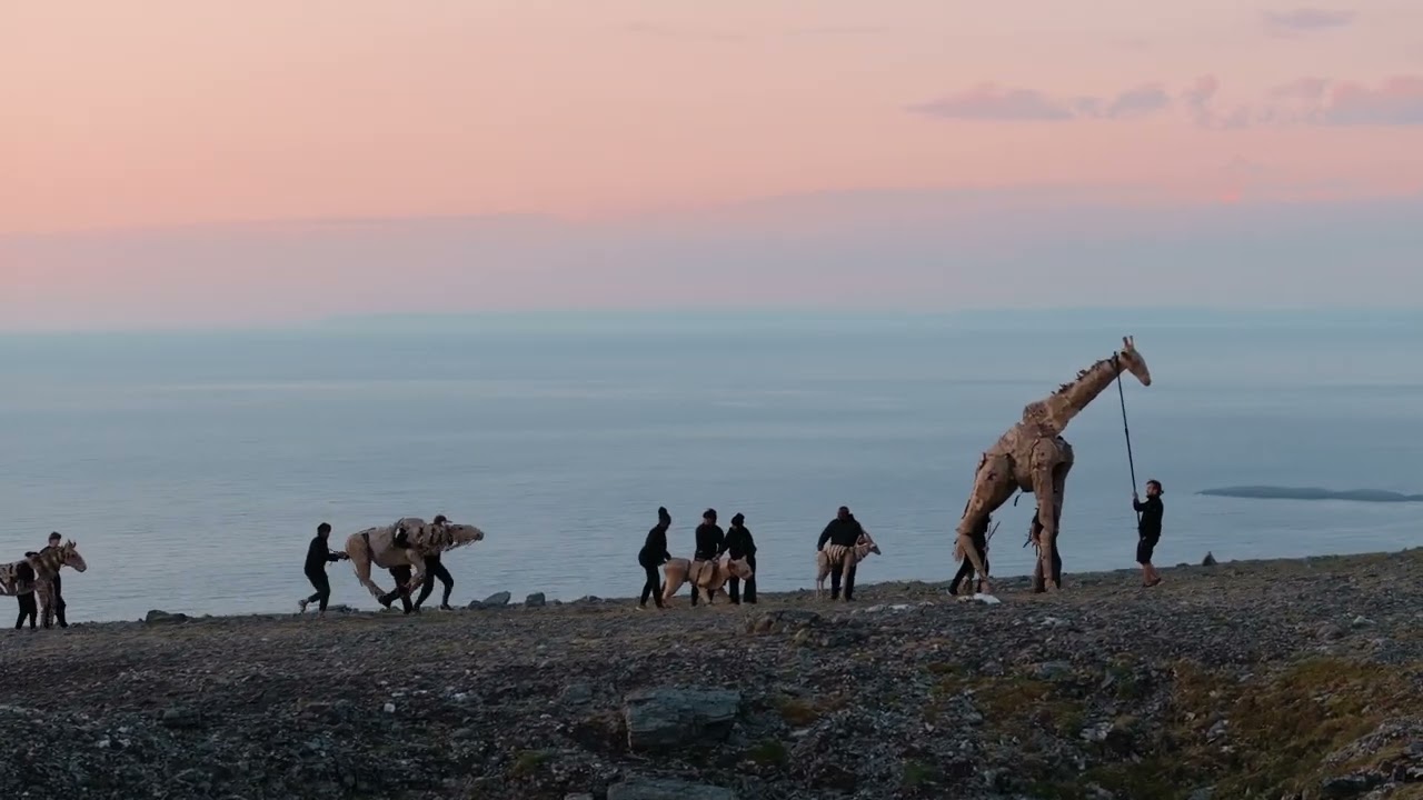 THE HERDS c The Walk Productions   Videography by Chloe Morris, Knut Lajord and Adam Gairns  16x9 4k