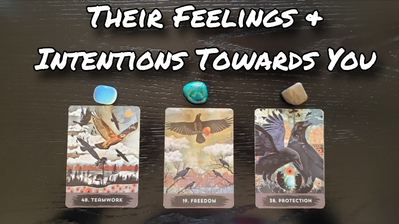 💞💘 Their Feelings & Intentions 💞🌙 Pick A Card Love Reading 