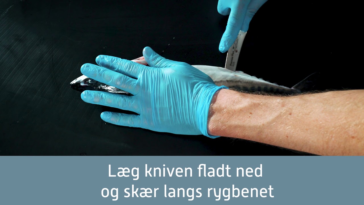 S&aring;dan fileterer og klarg&oslash;r du en hel makrel