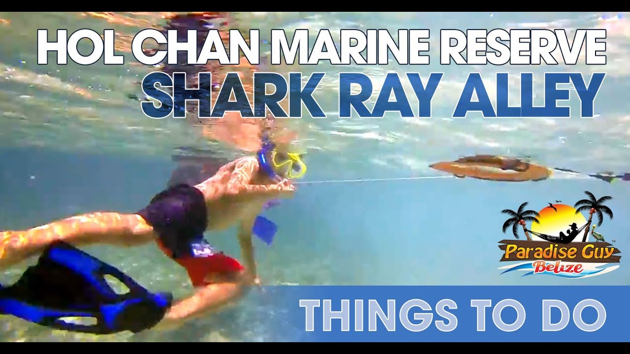 Belize Snorkel Day at Hol Chan Marine Reserve and Shark Ray Alley HD 2017