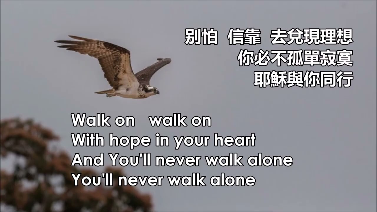 耶穌與你同行 (Original: You will never walk alone)  #YouWillNeverWalkAlone #粤詞 #粵語 #福音詩歌
