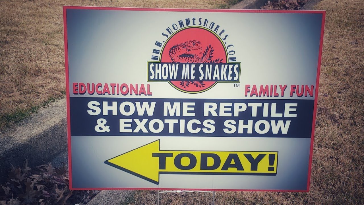 Show Me Snakes- Atlanta, GA (Suwanee Nov 21, 2021)